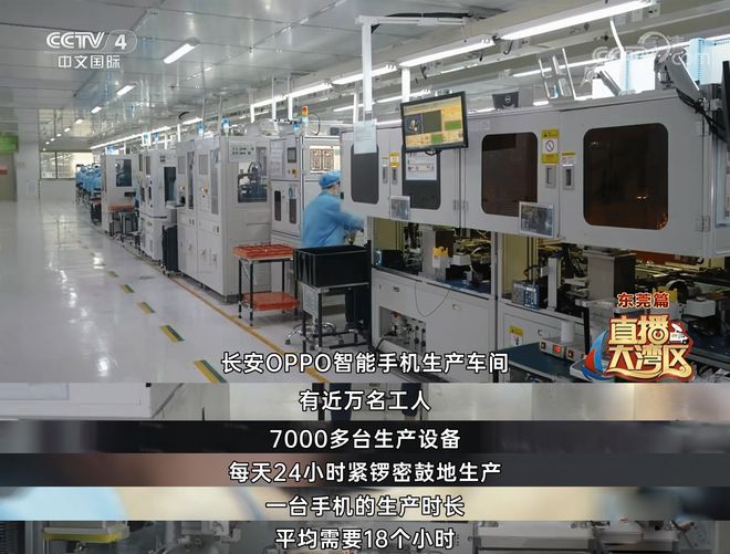 從“世界工廠”到“科創(chuàng)高地” 信息科技企業(yè)如何驅(qū)動(dòng)大灣區(qū)發(fā)展