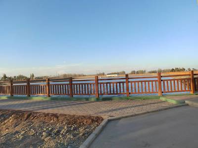 強化科技支撐 拓展技術空間 加快構建“智種”產業新格局 ——甘州區沙井鎮興隆村智慧制種標準化創新示范基地項目建設綜述