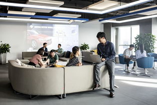 寶馬數字化轉型再下一城 梅曉群執掌領悅數字掛牌，深耕信息科技領域技術開發