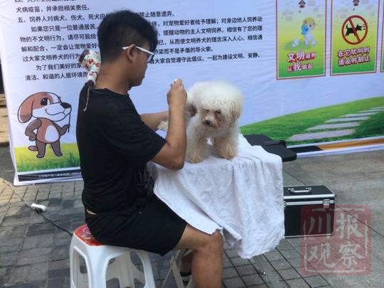 成都一物業公司免費為業主寵物注射疫苗并提供寵物美容服務的創新實踐