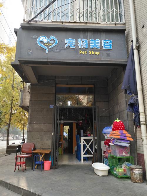 美容     寵物用品     寵物食品     寵物零食     寵物健康咨詢服務